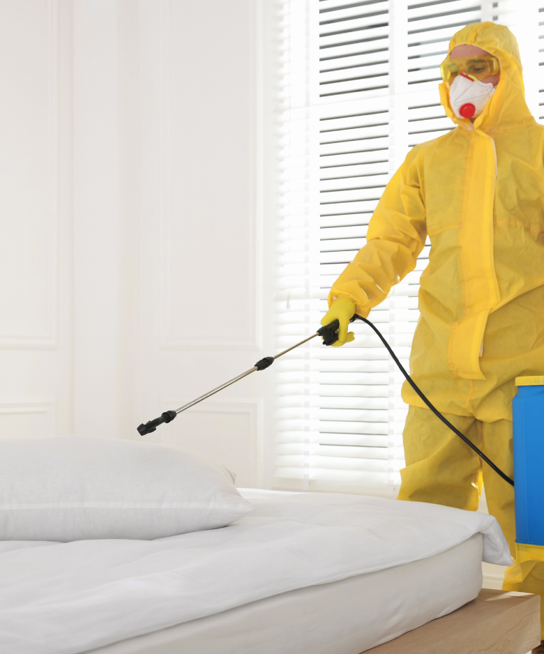 Professional Pest Control Team in Manningham